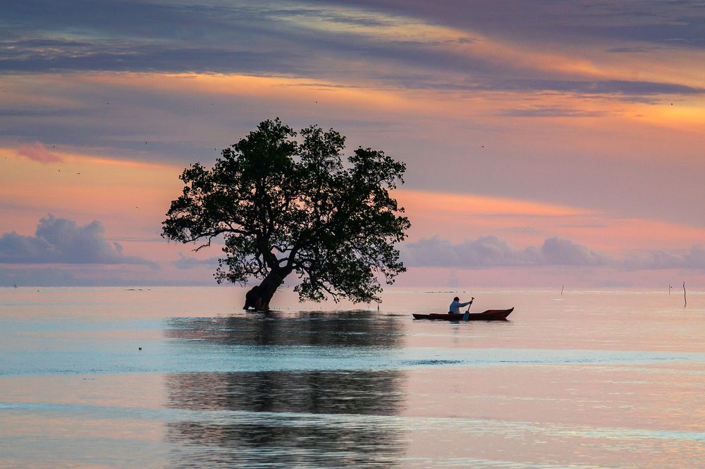 Photograph by Roslan Alias