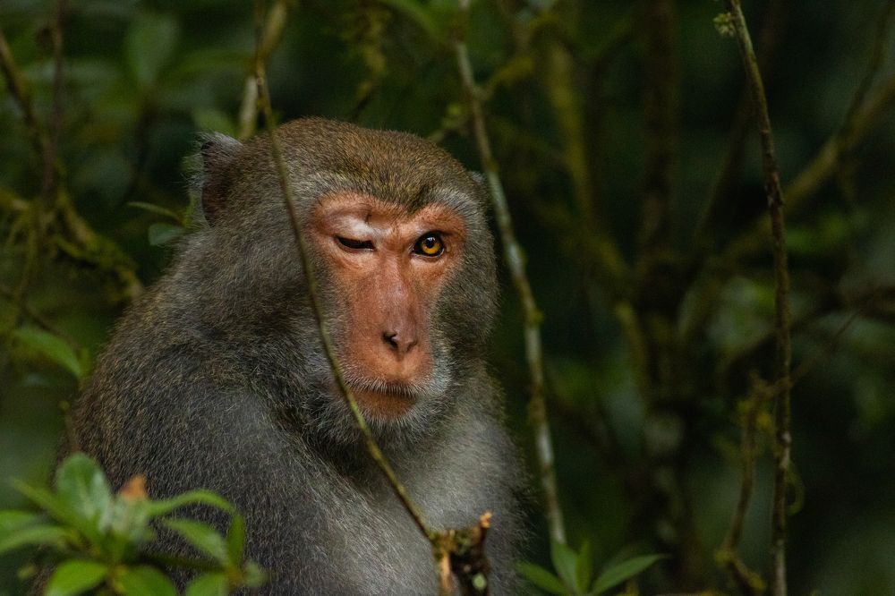 Photograph by Ryan Hevern