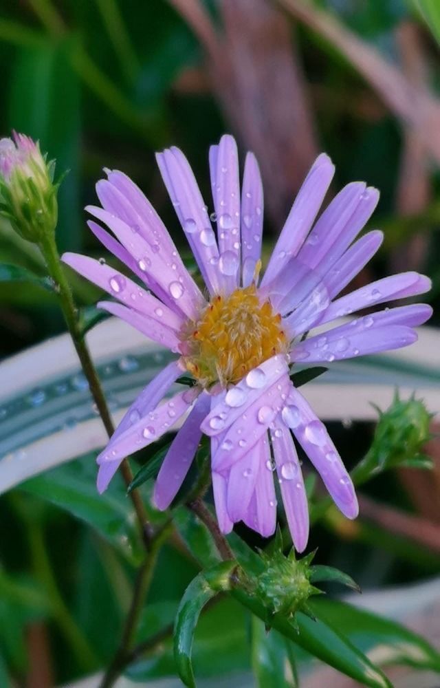 Photograph by Наталья Круглова