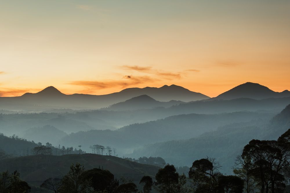 Photograph by Alif Fachrudin