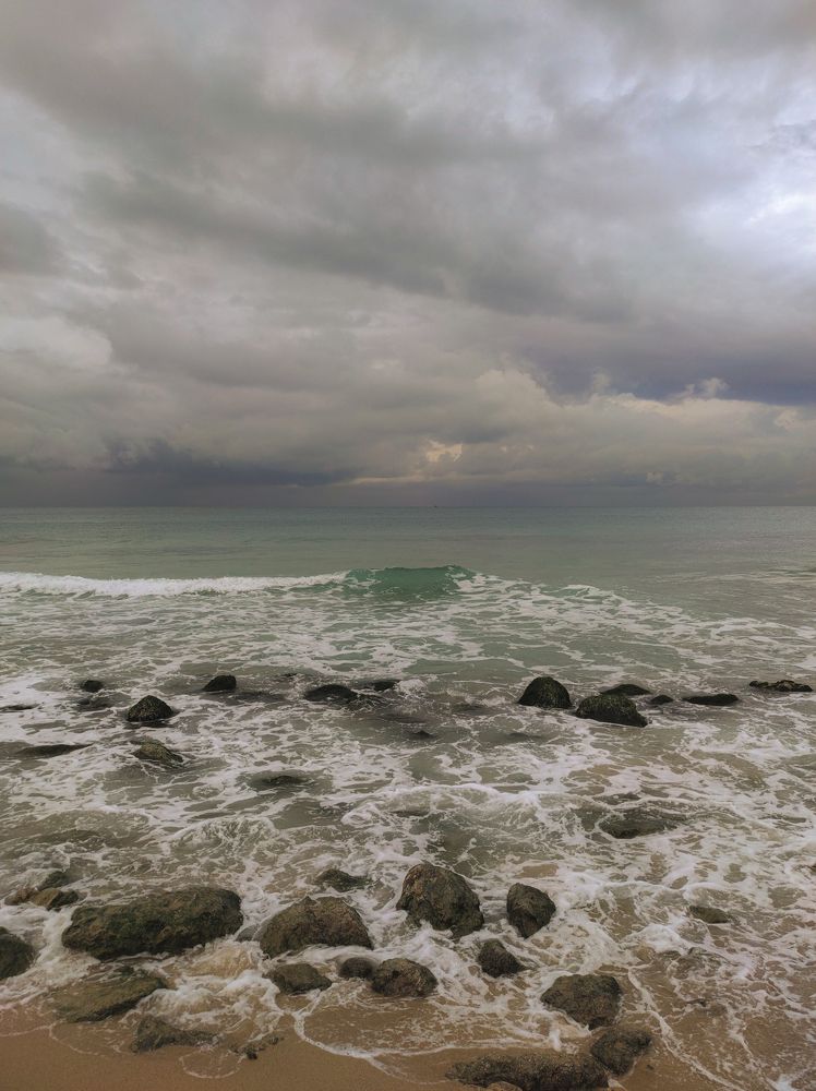 Photograph by ahmed shehata