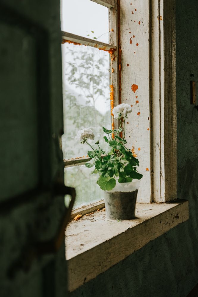 Photograph by Астафьева Ирина