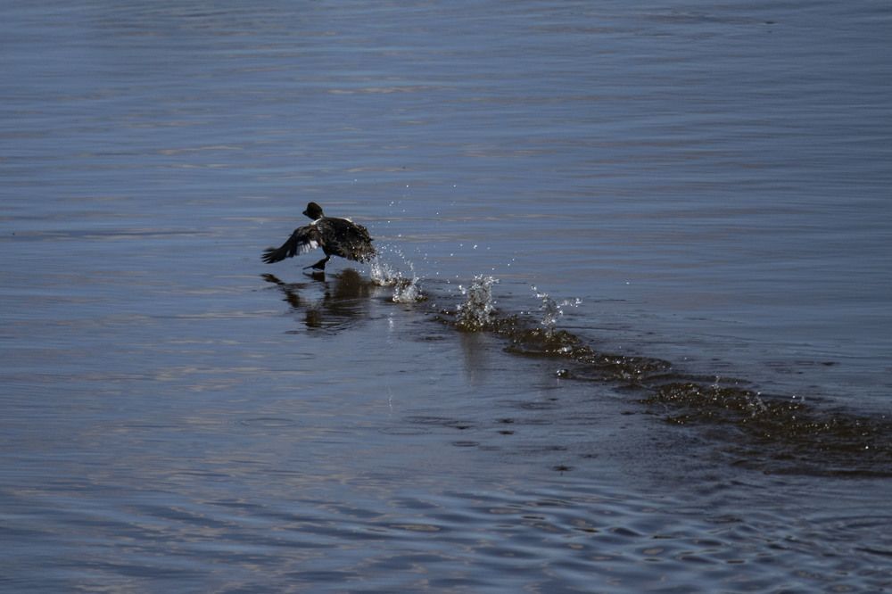Photograph by Алексей Логинов