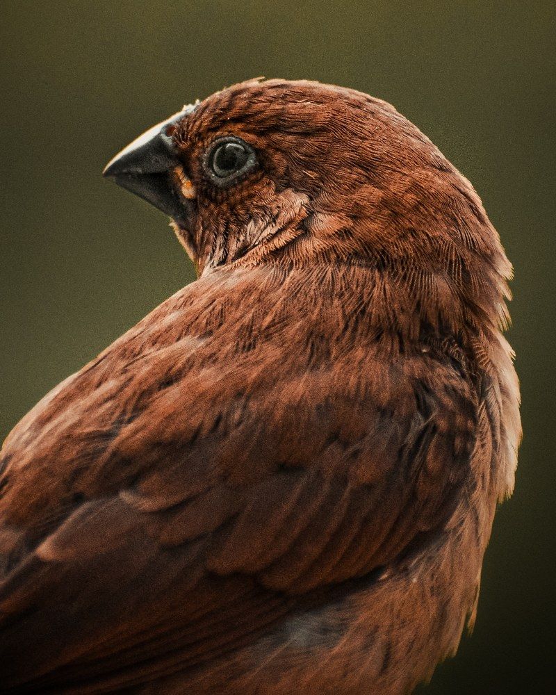 Photograph by Deepak Medisetti