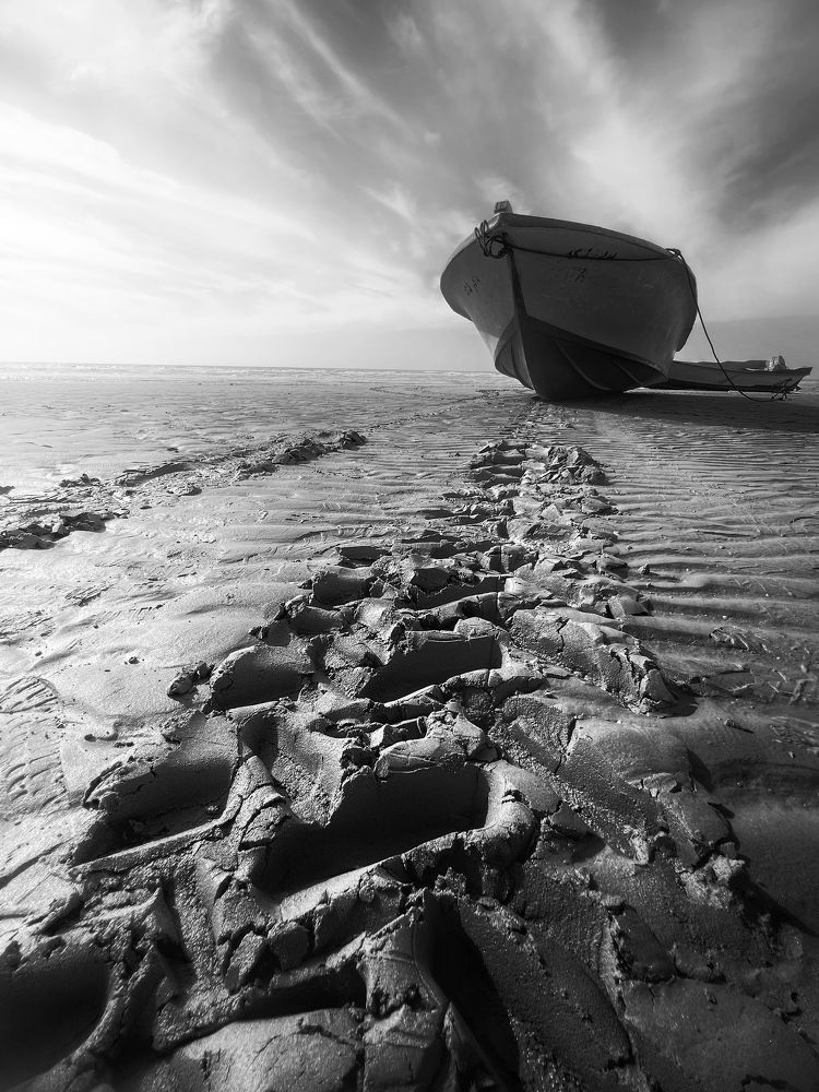 Photograph by mohammad mahmoodpoor