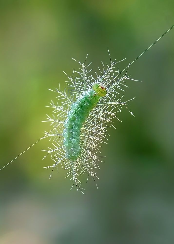 Photograph by Sampad das