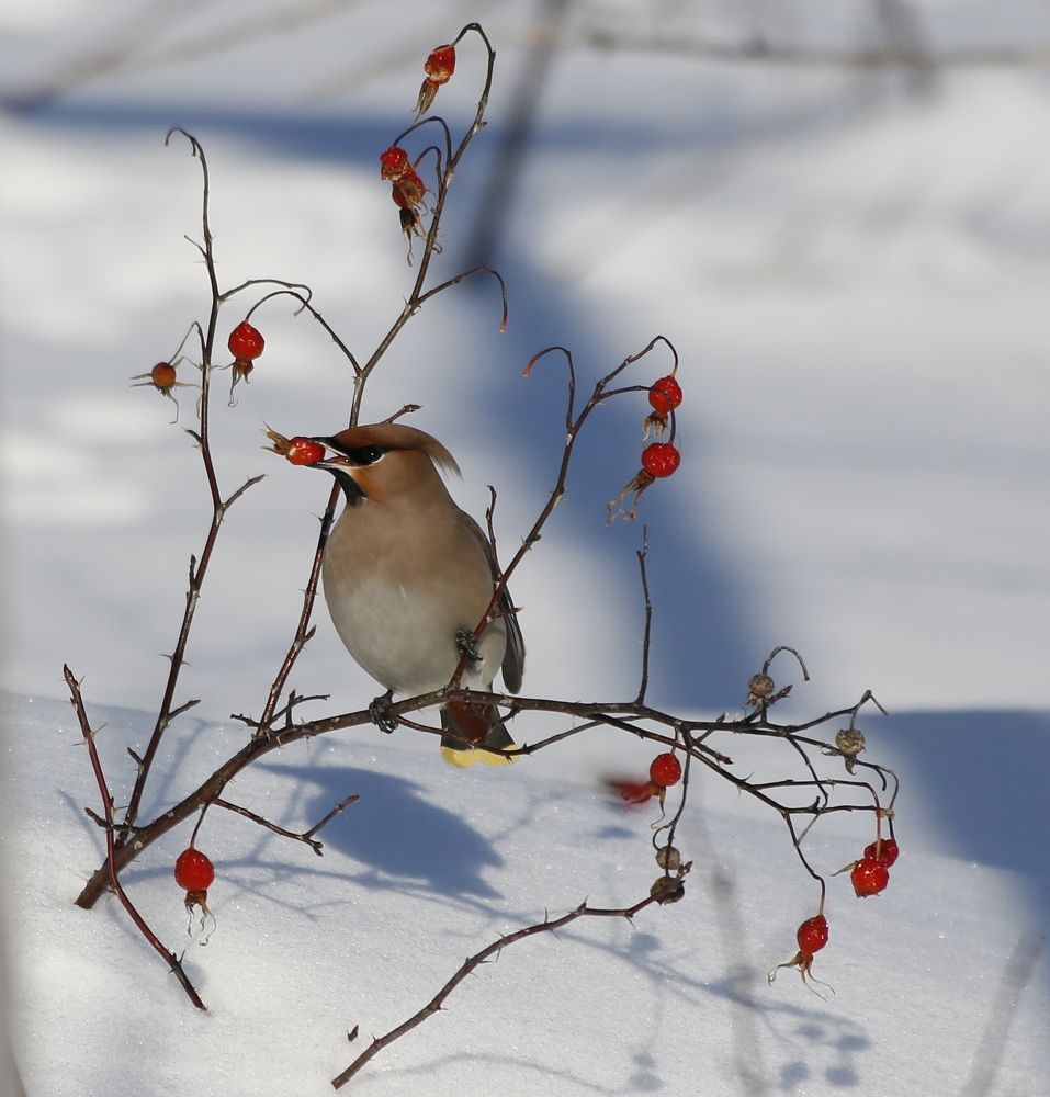 Photograph by Наталья Турчик