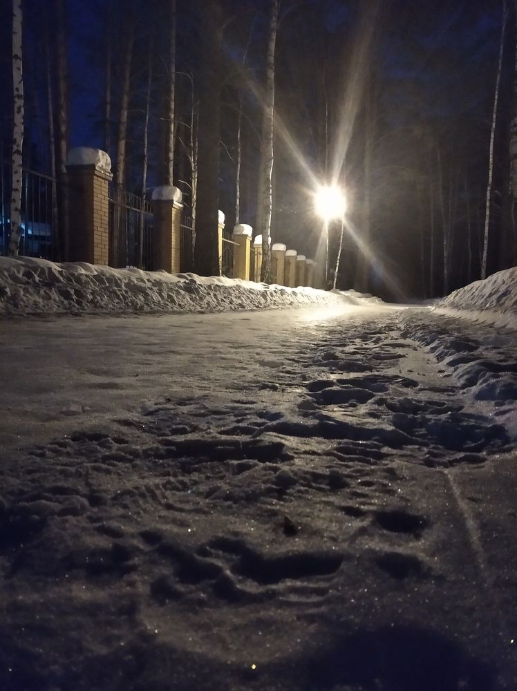 Вечерняя прогулка.