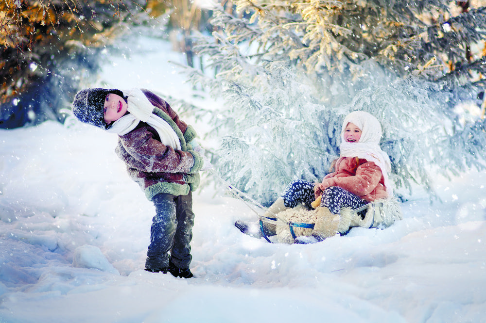 В лес за ёлкой