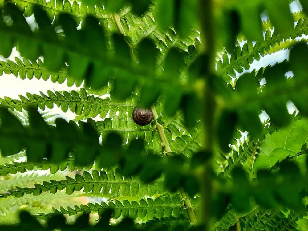 Photograph by Мария Глотова