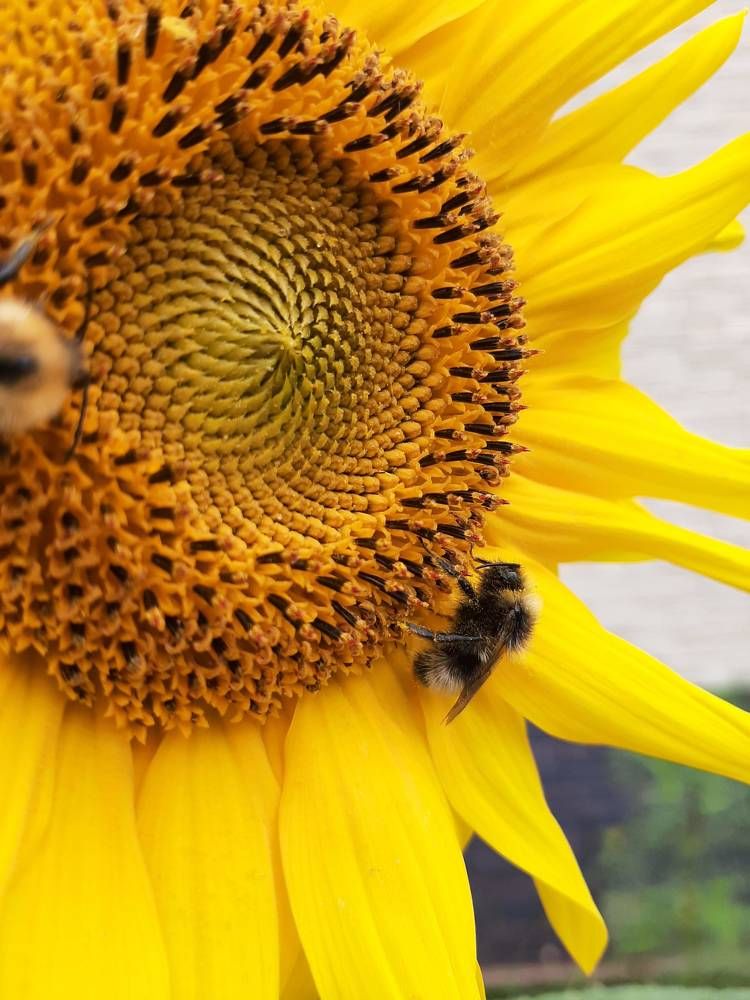 Photograph by Мария Глотова