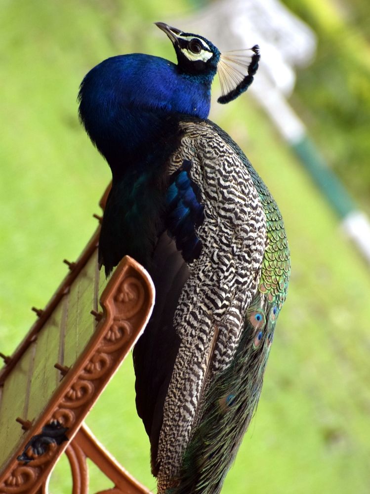 Photograph by V.l. Karthikeyan