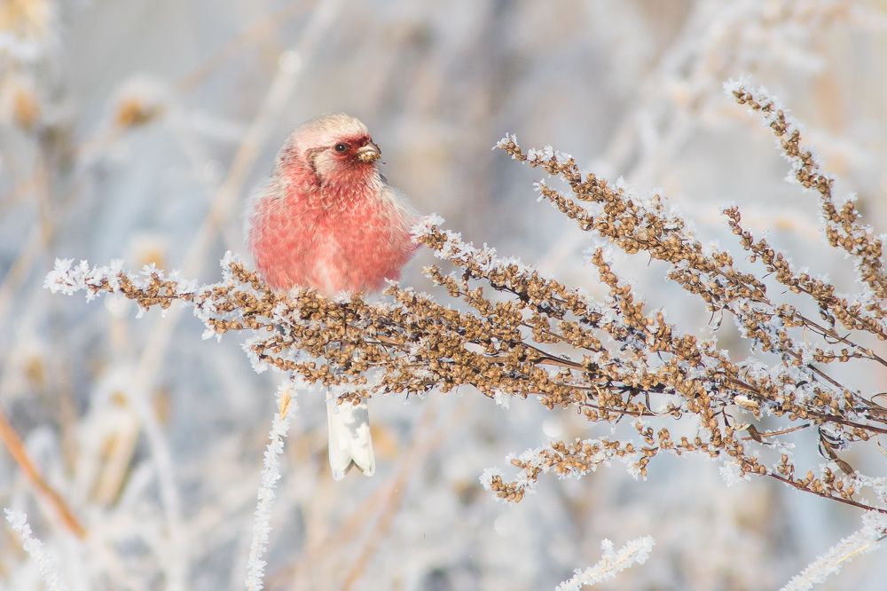 Фотография автора Суслов Дмитрий