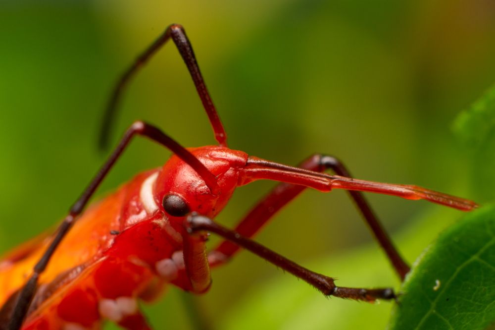 Photograph by Martin Pham