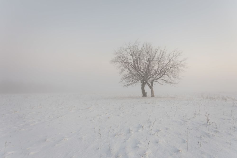 Туманная история...