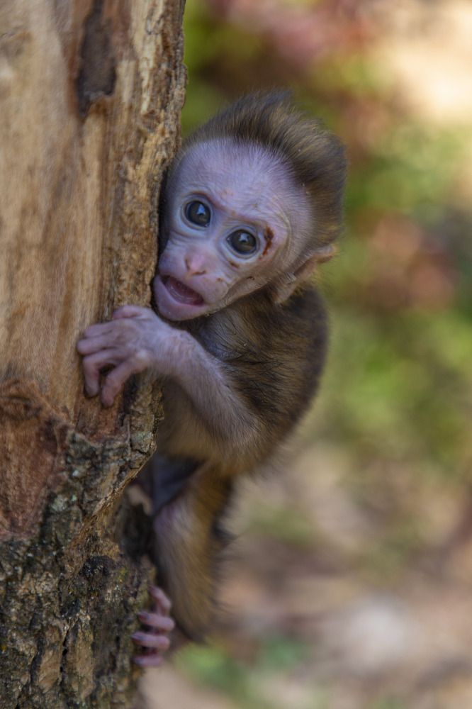 Photograph by umesh Dodampegamage