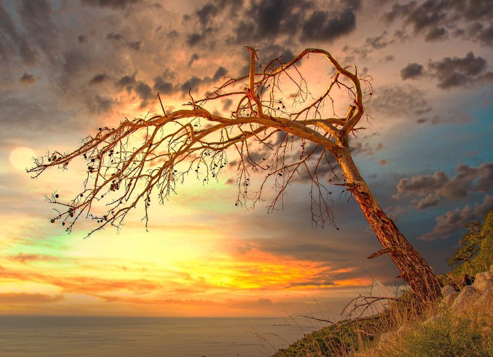 Photograph by Андрей Калинин