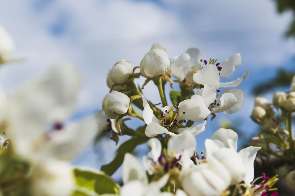Photograph by Елизавета Большакова
