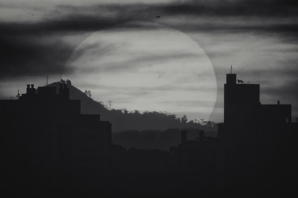 Photograph by Alexandre Chaym