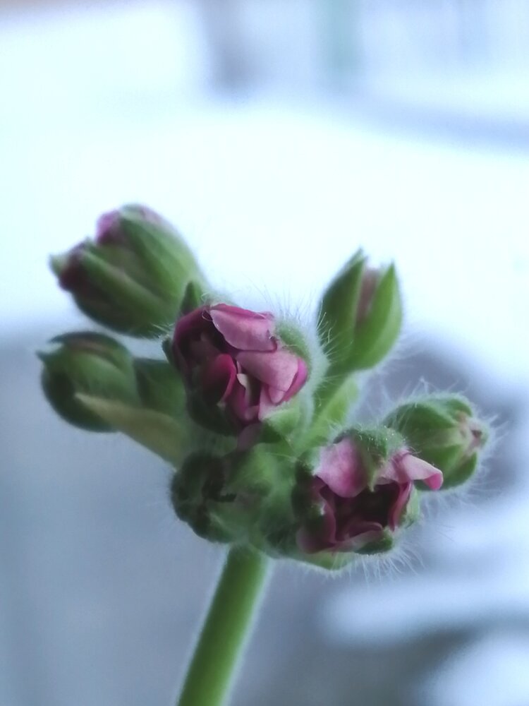 Photograph by Полина Паршина