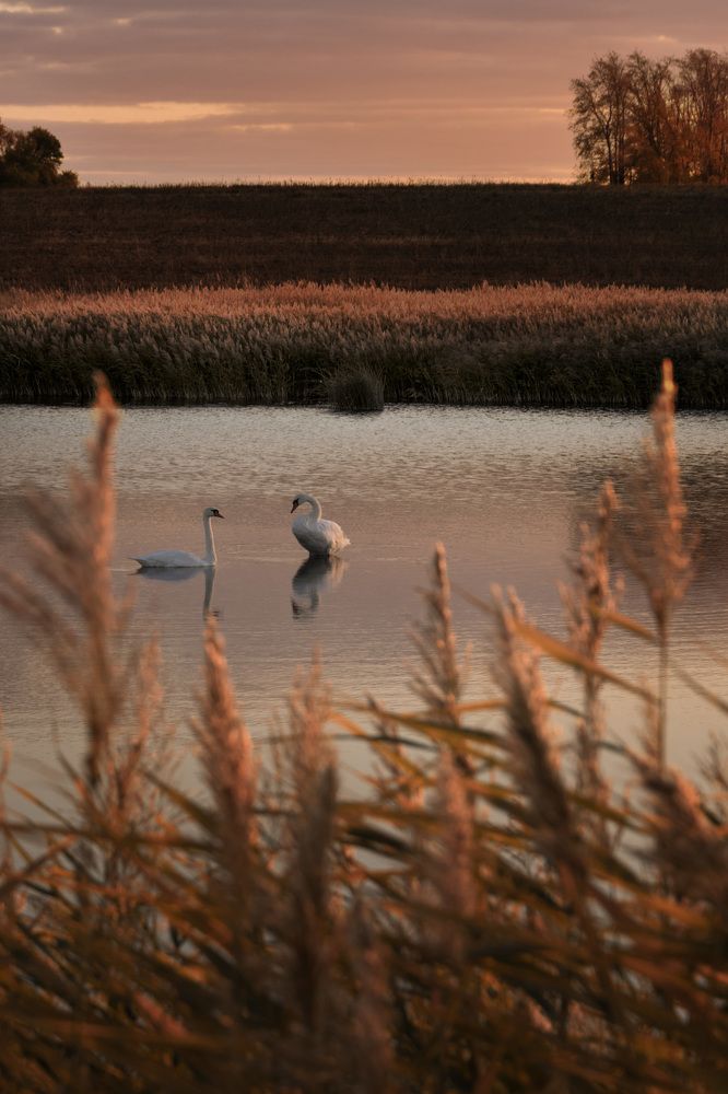 На закате...