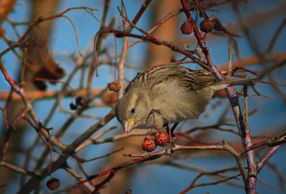 Photograph by Олег Белан
