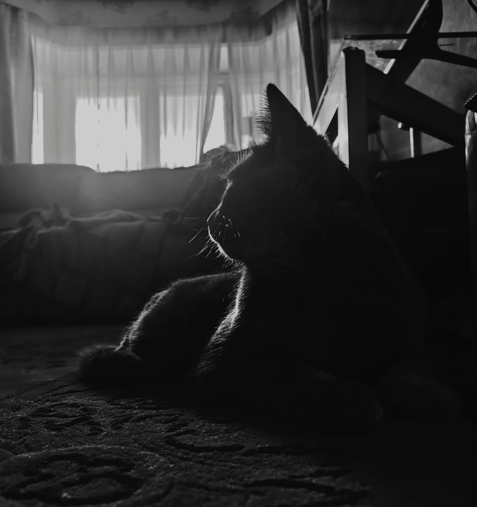 Photograph by Екатерина Исаева