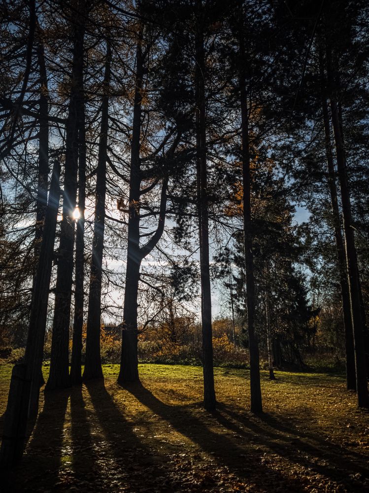 Photograph by Александр Безуглый