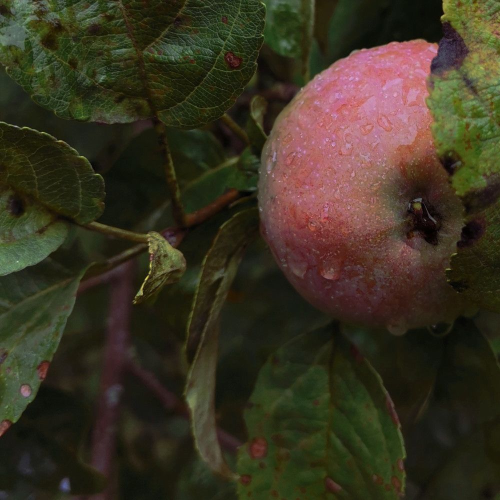 Photograph by Екатерина Исаева