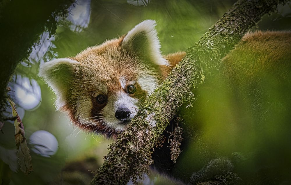 Photograph by Smita Behera