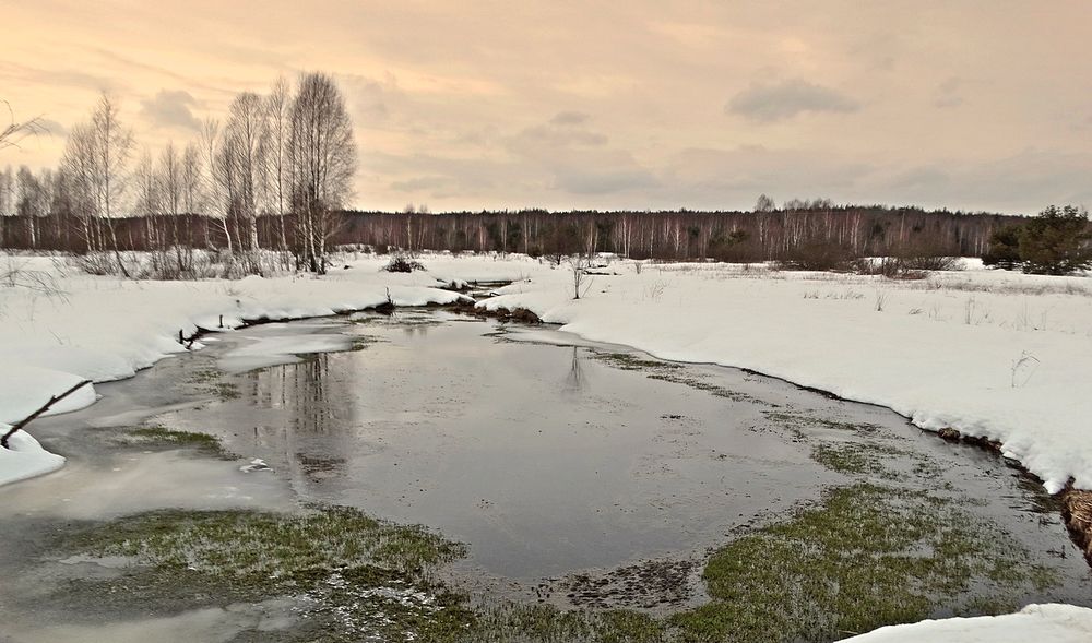 Весна заглянула в феврале