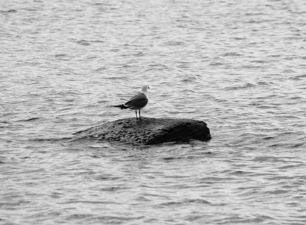 Photograph by Наталья Примак