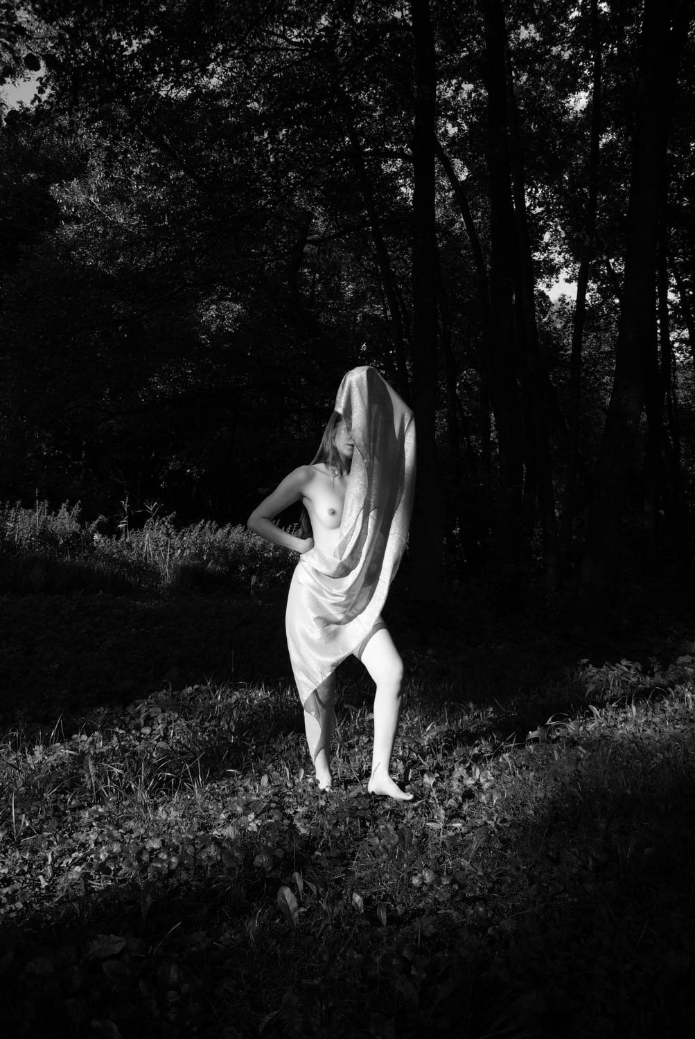Photo #7311863