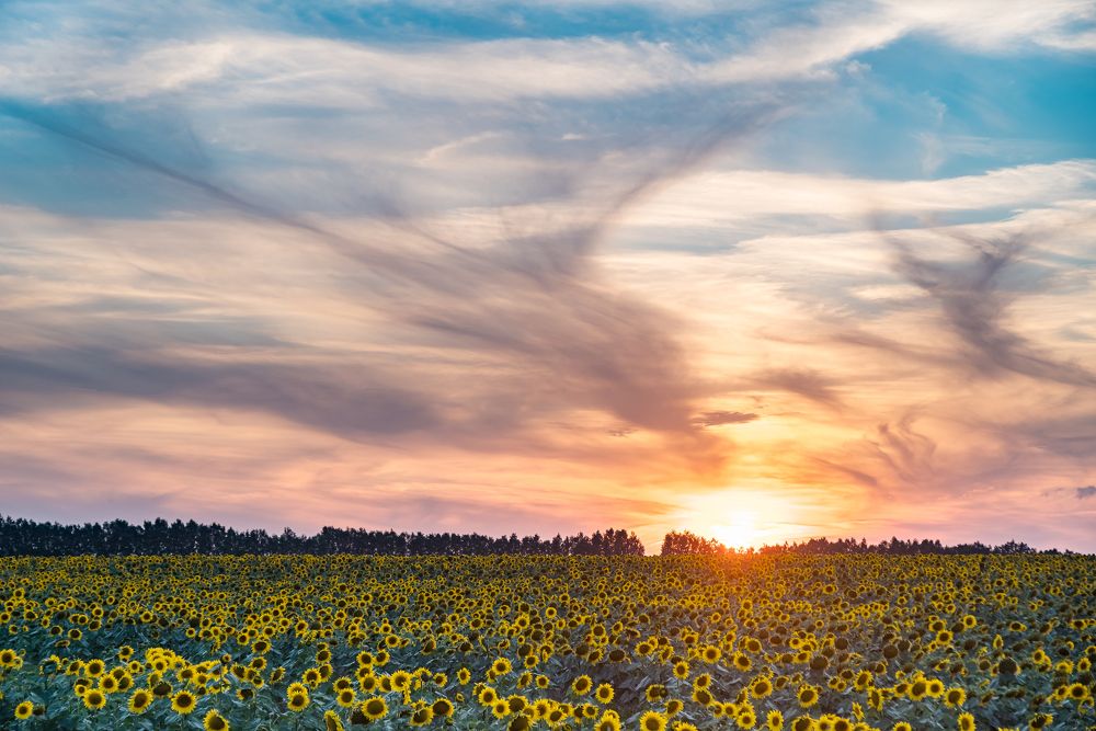 Photograph by Сергей Пашнов
