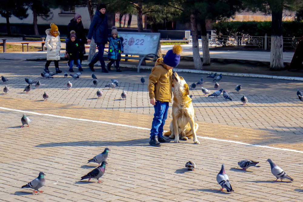 Photograph by Ронжин Дмитрий