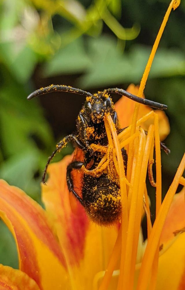 Фотография автора Наталья Синицына