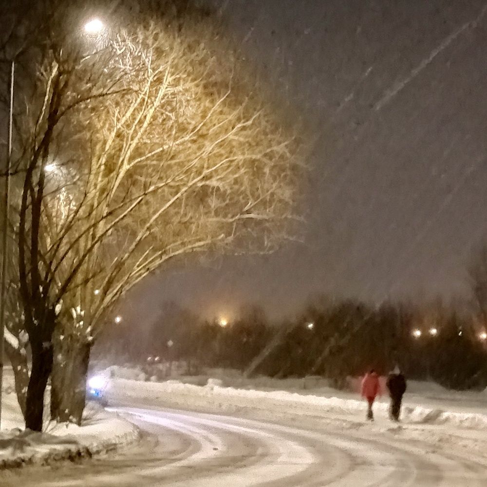 Photograph by Александр Alexander Zheleztsov