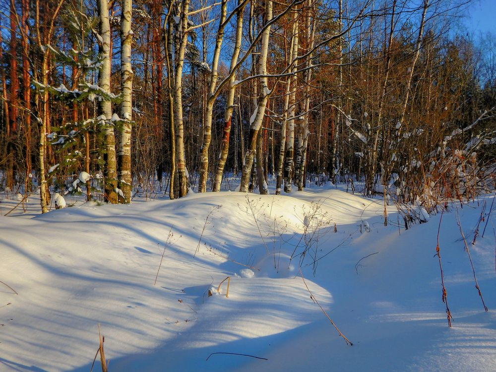 Фотография автора Boris Yakovlev