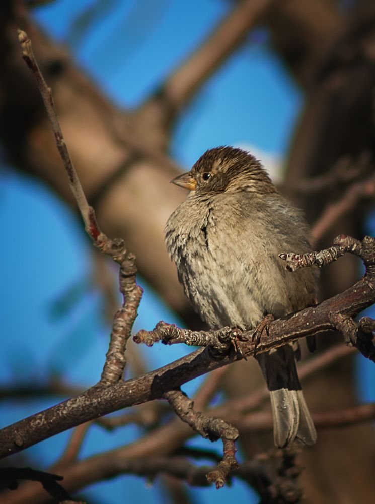 Photograph by Олег Белан