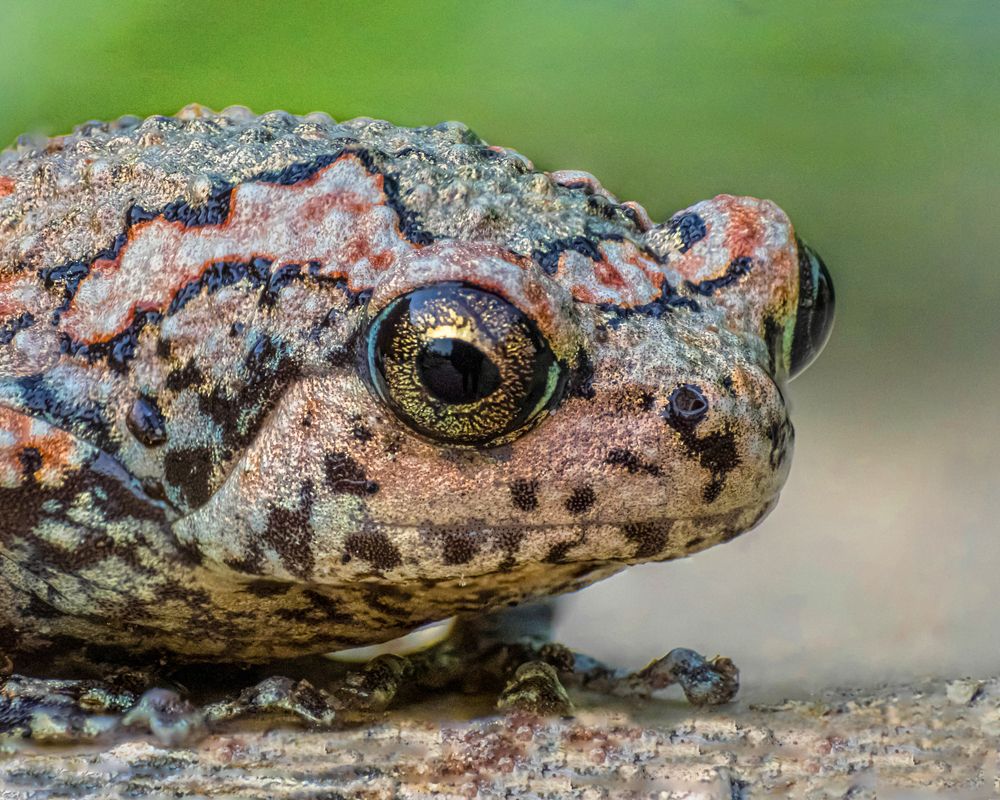 Photograph by Desikan Venkataraghavan