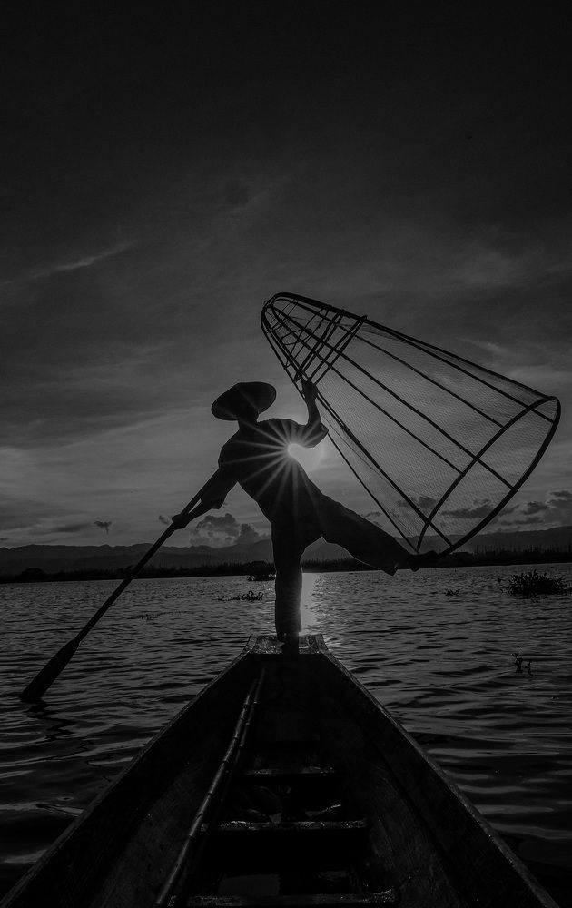 Photograph by Moo Wilson