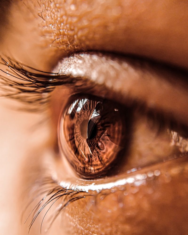 Фотография автора Nasif Ali Mondal