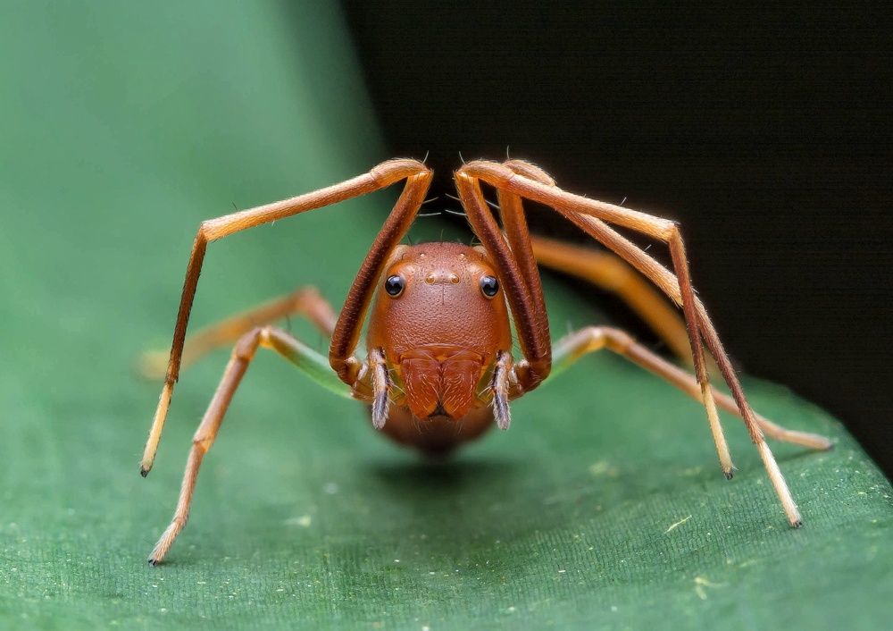 Photograph by Loo kok hua Loo