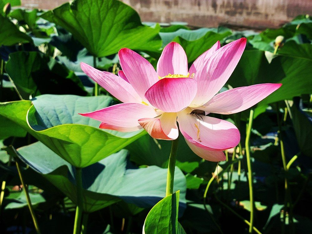 Photograph by Нина Паршина