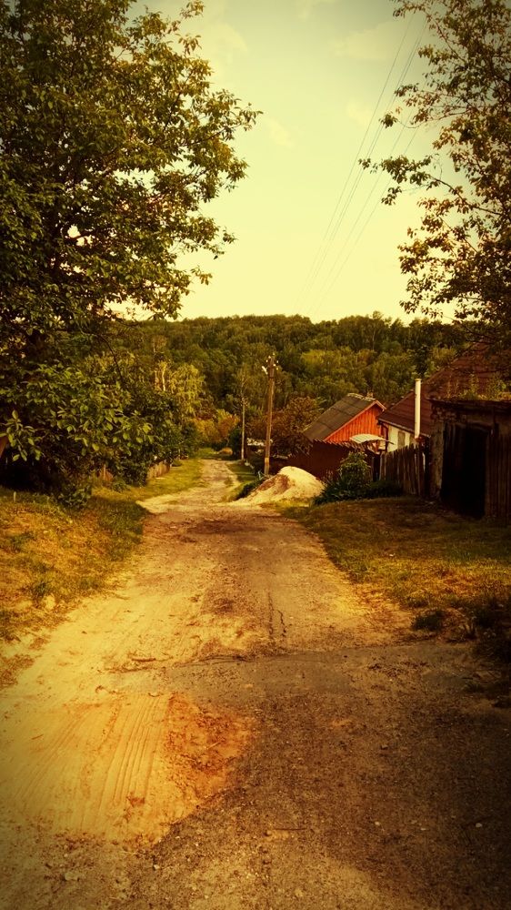 Фотография автора Карина Сёма