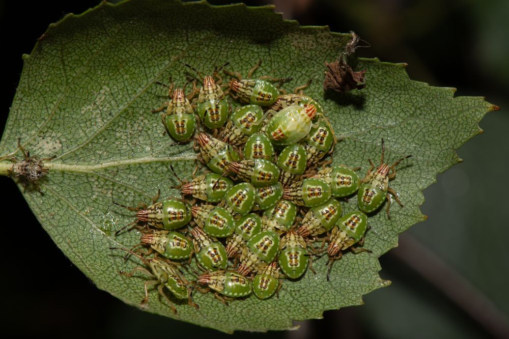 Photograph by Александр Губин