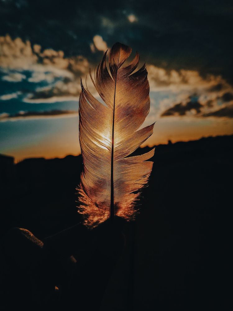 Photograph by Salmaan dada