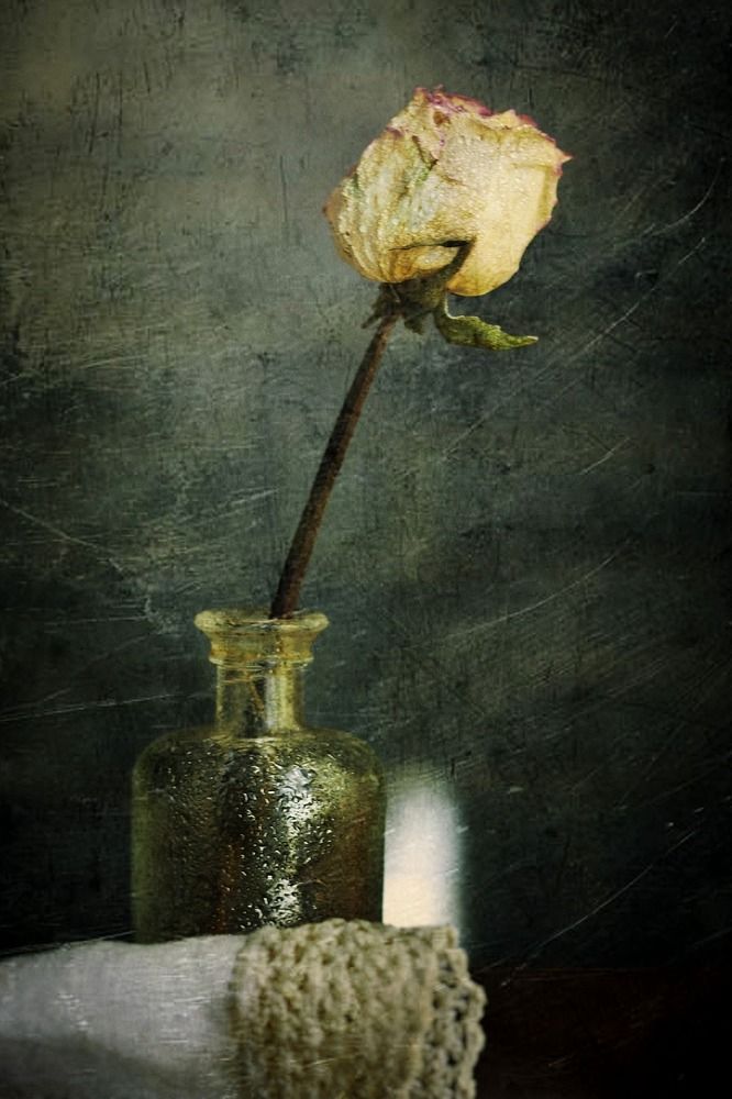 Photograph by Ольга Мальцева