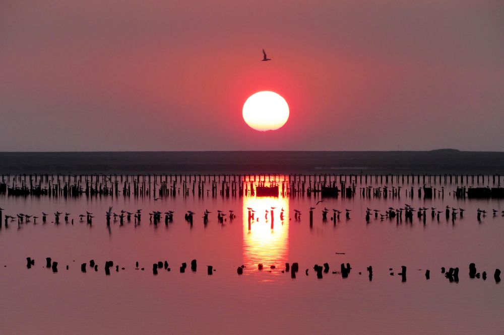 Photograph by Юлия