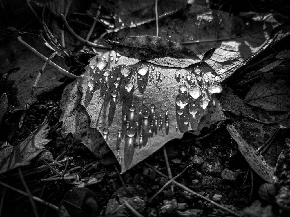 Photograph by Ольга Тюрина